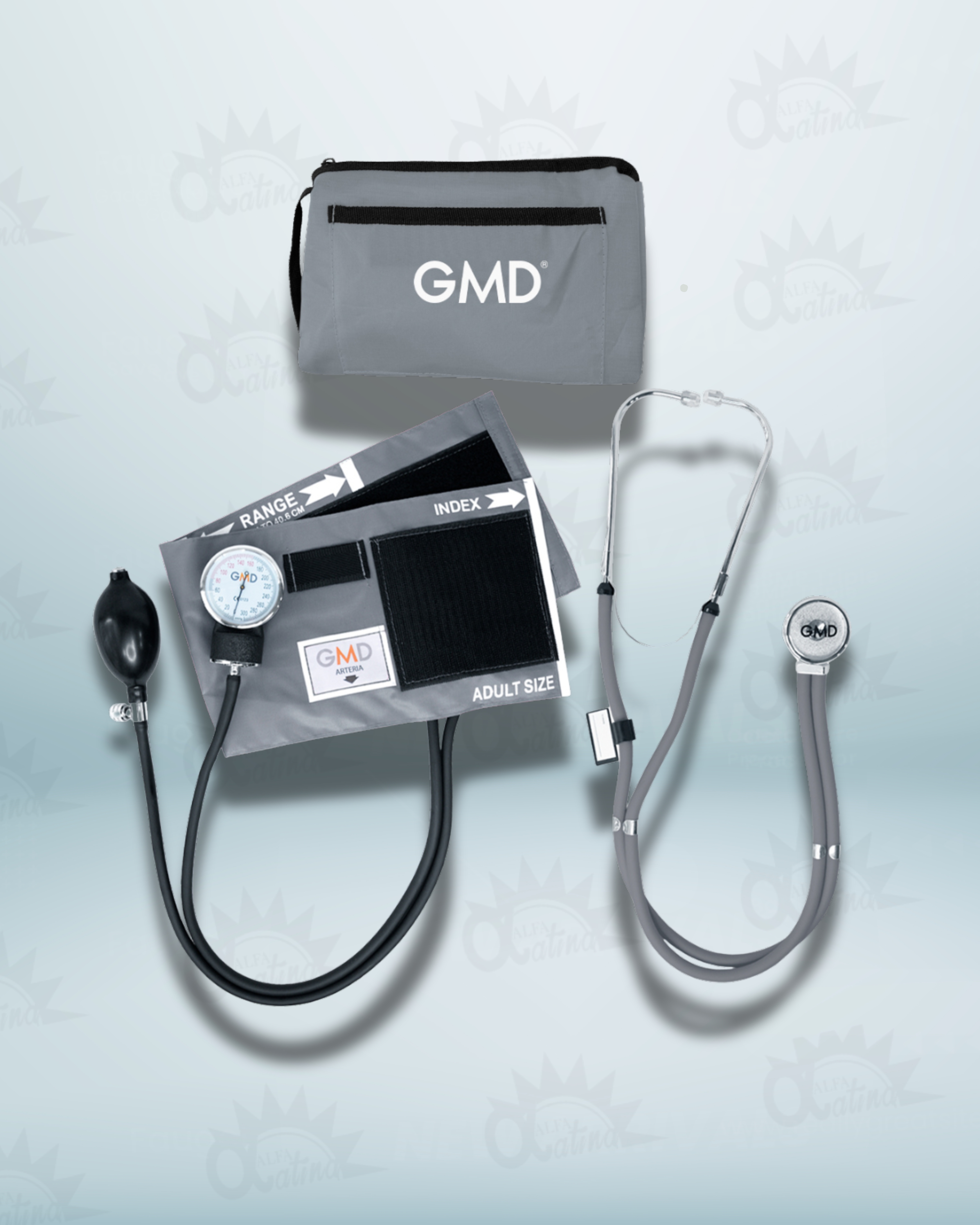 KIT DE TENSIOMETRO Y FONENDOSCOPIO GRIS RAPPAPORT